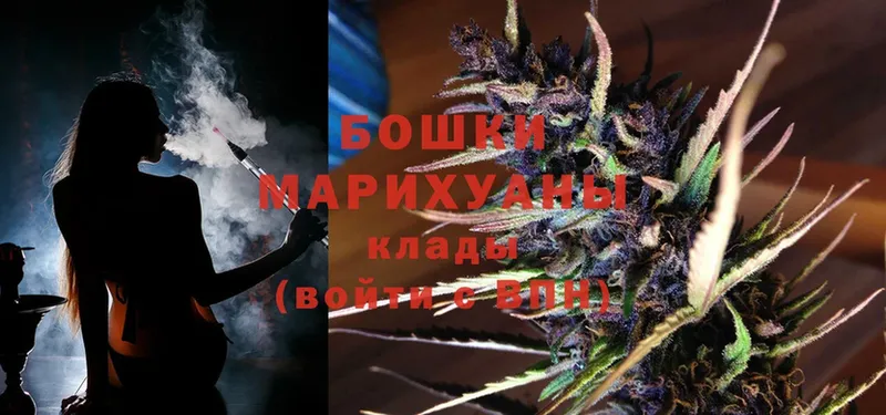 Бошки марихуана THC 21%  Ногинск 